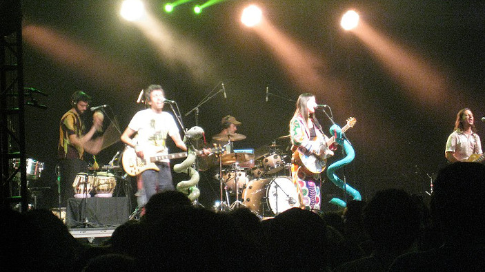 Aterciopelados y Bomba Estéreo: Colombia y su colorida fusión de ritmos